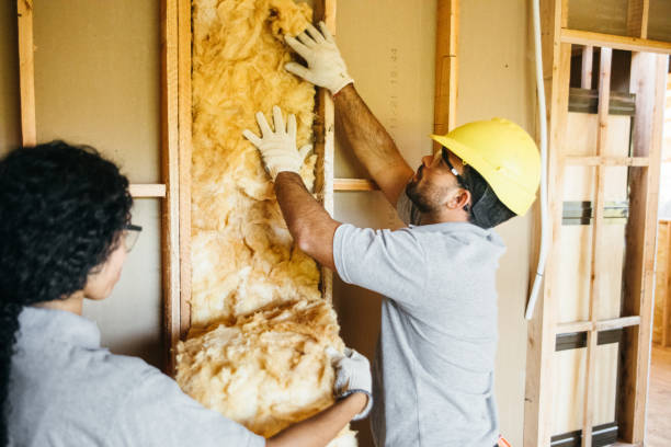 Best Wall Insulation Installation  in South Coventry, CT