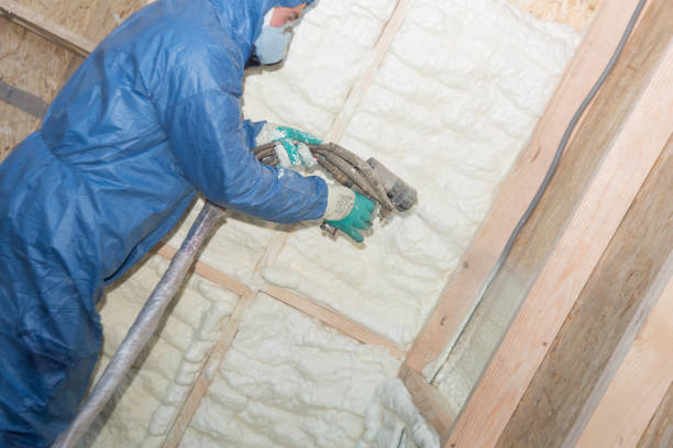 Best Insulation Air Sealing  in South Coventry, CT